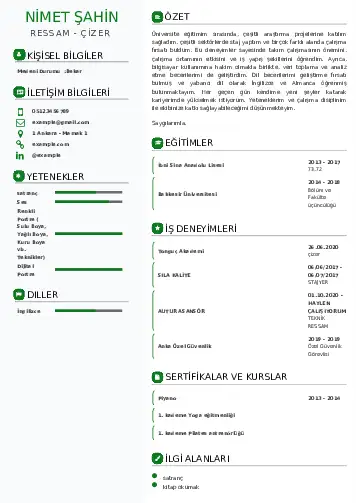Ressam Cv Örnekleri cv indir